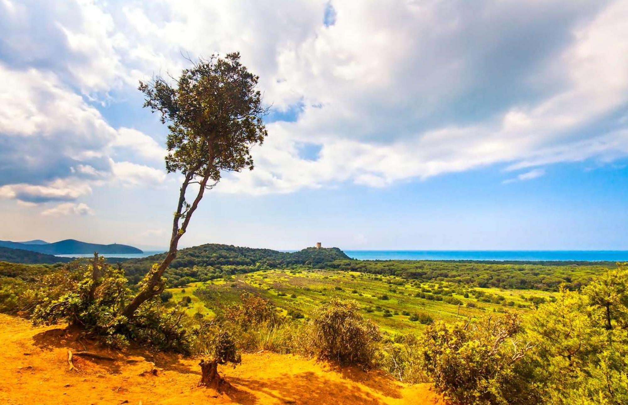 Agriturismo Capricorni Massa Marittima Bagian luar foto